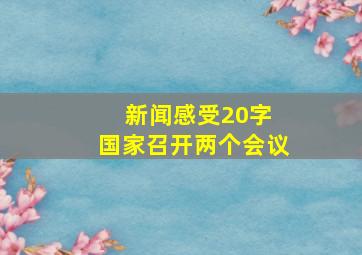 新闻感受20字 国家召开两个会议